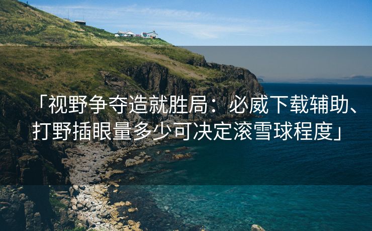 「视野争夺造就胜局：必威下载辅助、打野插眼量多少可决定滚雪球程度」