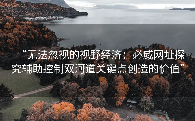 “无法忽视的视野经济：必威网址探究辅助控制双河道关键点创造的价值”